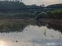 Mobil Nyemplung Rawa di Bojonegoro, Ternyata Emak-emak Salah Injak Gas