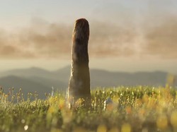 Lebih Tua dari Dinosaurus, Misteri Organisme 9 Meter Bingungkan Ilmuwan