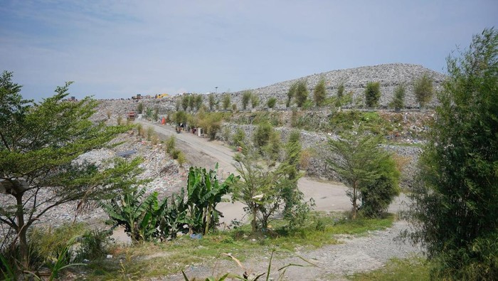 Wawalkot Sebut Ketinggian Sampai di TPU Terjun Menggunung, Capai 30 Meter