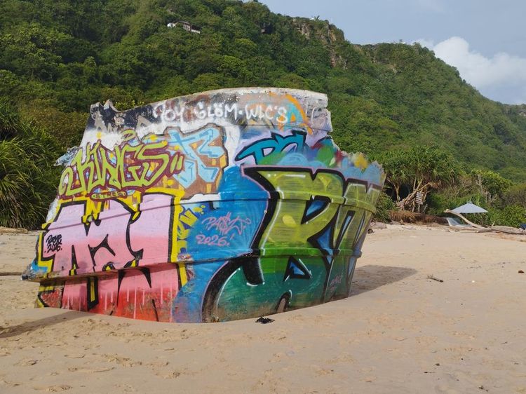 Eksotisnya Bangkai Kapal, Pasir Cokelat, dan Sabana di Pantai Nunggalan