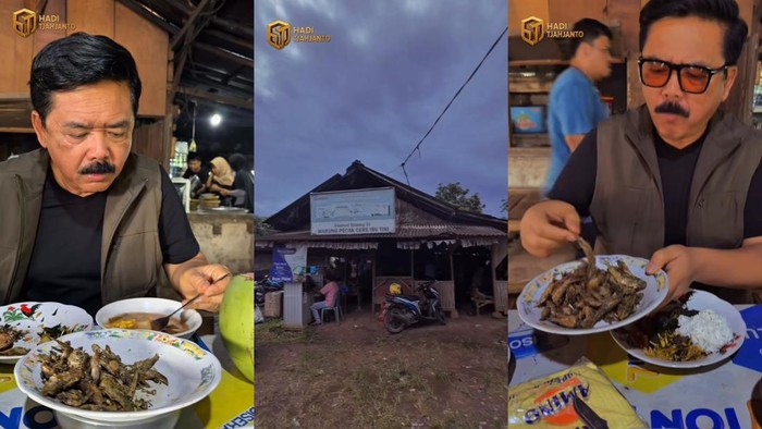 Mantan Panglima TNI Hadi Tjahjanto Doyan Ikan Cere hingga Jengkol!