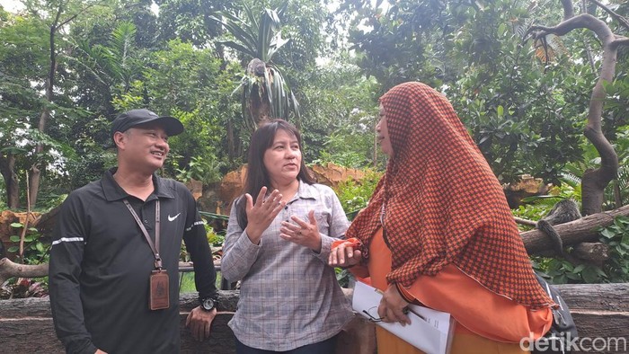 KBS Buka Suara Usai Digeledah Kejati Jatim soal Dugaan Korupsi