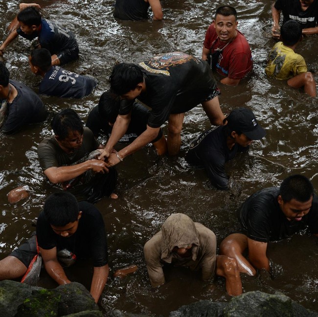 Menguras Sendang dan Menangkap Ikan, Tradisi Nawu Sendang Gotan