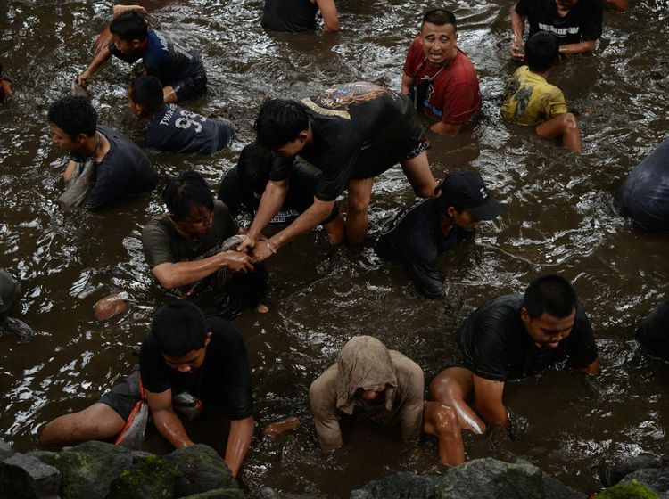 Menguras Sendang dan Menangkap Ikan, Tradisi Nawu Sendang Gotan