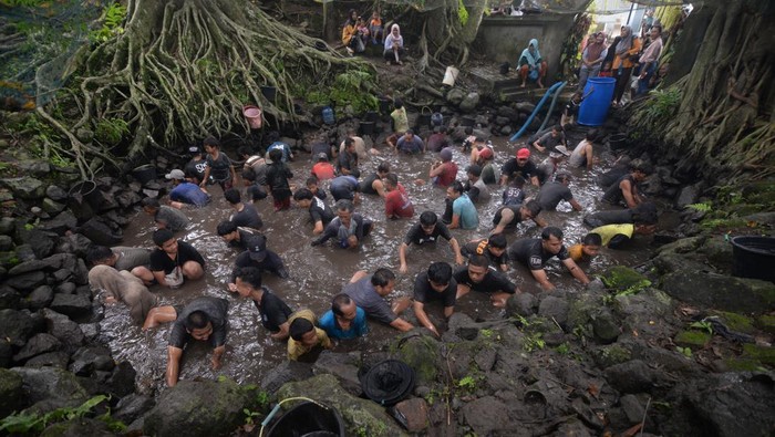 Warga menguras sumber mata air saat Tradisi Nawu Sendang Gotan di Mranggen, Jatinom, Klaten, Jawa Tengah, Sabtu (8/2/2026). Tradisi nawu Sendang Gotan atau menguras sumber mata air serta menangkap ikan bersama-sama warga setempat itu sebagai wujud rasa syukur kepada Tuhan Yang Mahe Esa atas berlimpahnya sumber air sebagai kebutuhan hidup dan pertanian serta guyub dalam merawat lingkungan. ANTARA FOTO/Aloysius Jarot Nugroho