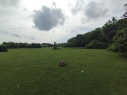 Sabana di Pantai Nunggalan, Badung, Bali, Sabtu (7/2/2026). Sabana ini menjadi salah satu daya tarik wisatawan berkunjung ke Pantai Nunggalan.