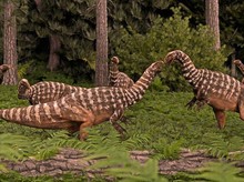 Profesor Ini Simpan Jejak Kaki Dinosaurus Selama 60 Tahun, Kini Diidentifikasi