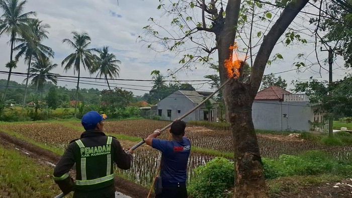 Akhir Teror Makhluk Berbulu di Kuningan