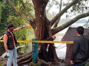 Tragedi 3 Pria Disambar Petir hingga Permintaan Maaf Wali Kota Denpasar