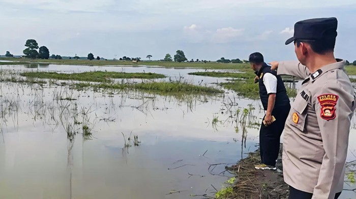 Pamit ke Anak untuk Mancing, IRT di OKI Ditemukan Tewas di Area Persawahan