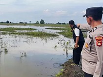 Pamit ke Anak untuk Mancing, IRT di OKI Ditemukan Tewas di Area Persawahan