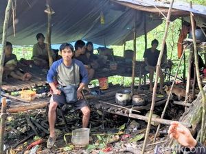 Soal Bukaan Lahan Punan Batu, Dishut Kaltara: Kami Sudah Tegur