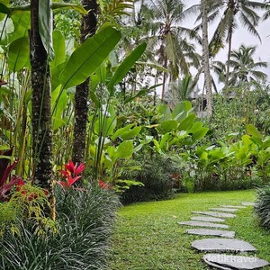 Suasana Ubud di Kala Hujan, Syahdu dan Berkesan