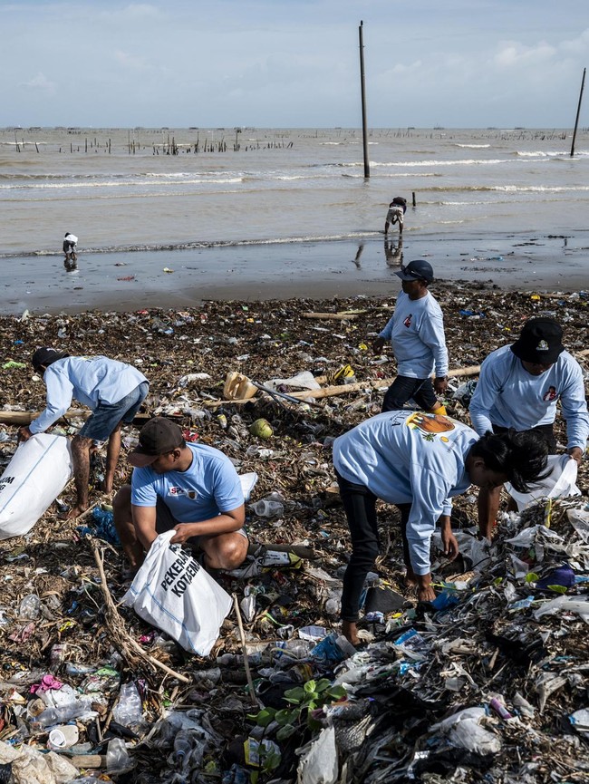 Warga Tambak Lorok Kompak Bersihkan Sampah Pantai