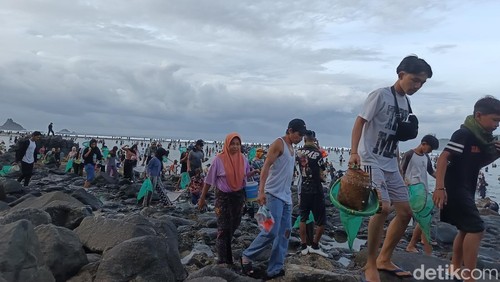 Warga tumpah ruah mengikuti puncak Bau Nyale di Pantai Tampah, Desa Mekarsari, Kecamatan Praya Barat, Lombok Tengah, Minggu (8/2/2026). (Foto: Edi Suryansyah/detikBali)
