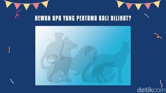 Hewan Pertama yang Dilihat di Gambar Ini Bisa Ungkap Kepribadian, Cek Kamu Tipe Apa?