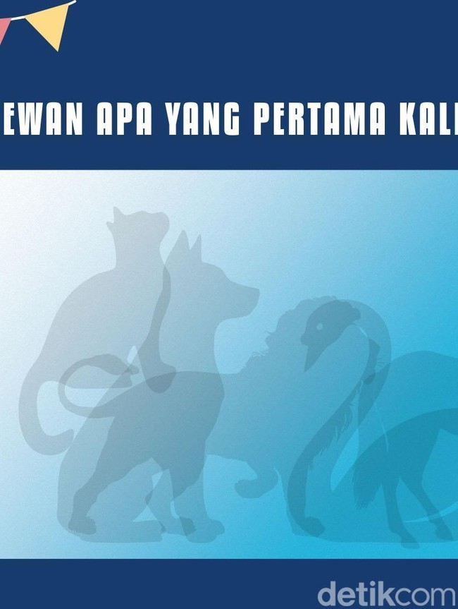 Hewan Pertama yang Dilihat di Gambar Ini Bisa Ungkap Kepribadian, Cek Kamu Tipe Apa?