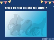 Hewan Pertama yang Dilihat di Gambar Ini Bisa Ungkap Kepribadian, Cek Kamu Tipe Apa?