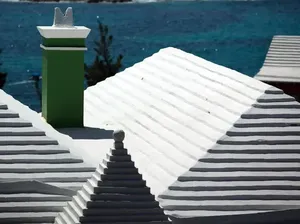 Langka Air Tawar, Begini Cara Warga Bermuda Bertahan Pakai Atap Rumah