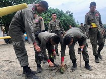 Aksi Sapu Bersih Ratusan Brimob di Pantai Pasir Putih Situbondo