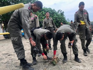 Aksi Sapu Bersih Ratusan Brimob di Pantai Pasir Putih Situbondo