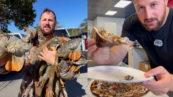 Cuaca Dingin Bikin Iguana Jatuh dari Pohon, Kini Malah Jadi Topping Pizza