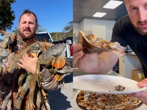Cuaca Dingin Bikin Iguana Jatuh dari Pohon, Kini Malah Jadi Topping Pizza