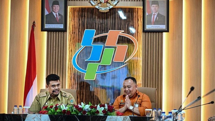 Bobby Minta Kepala Daerah Dukung Penginputan DTSEN: Jangan Sampai Salah