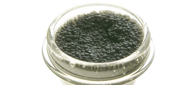 Jenis-jenis caviar