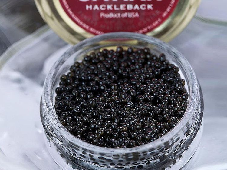 Serupa tetapi Tak Sama, Ini 9 Jenis Caviar Terbaik di Dunia!