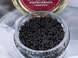 Serupa tetapi Tak Sama, Ini 9 Jenis Caviar Terbaik di Dunia!