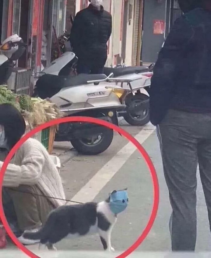 Namanya baru hidup sekali di era pandemi, kepanikan muncul di mana-mana. Bersyukur pandemi COVID-19 sudah berakhir ya, detikers.