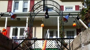 Halloween pertama saat pandemi COVID-19. Cokelatnya dimerosotin pakai pipa. Foto: kazzmere via Bored Panda