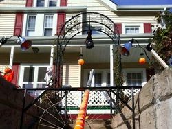 Kita Pernah Begini Pas Pandemi COVID-19, Maklum Panik