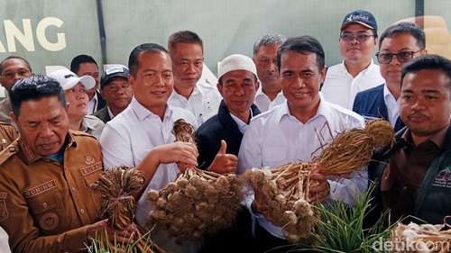 Menteri Pertanian Andi Amran Sulaiman saat menghadiri penanaman bawang putih perdana di Sembalun, Lombok Timur, NTB, Senin (9/2/2026). (Foto: Sanusi Ardi W/detikBali)