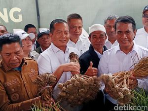 Mentan Targetkan 50 Ribu Hektare Lahan di Sembalun Lombok Ditanam Bawang Putih
