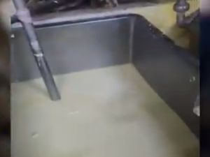 Pabrik Susu Sintetis Digerebek, Produk Pakai Campuran Pupuk-Detergen