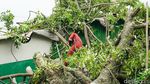 Pohon Tumbang Timpa Warung di Depok