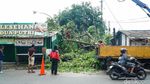 Pohon Tumbang Timpa Warung di Depok