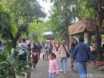 Situasi di KBS Setelah Digeledah Kejati Jatim Terkait Dugaan Korupsi