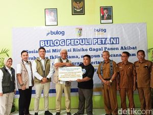 Mitigasi Gagal Panen, Ratusan Hektare Lahan Padi di Lombok Timur Dapat Asuransi