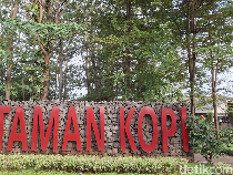 Kisah Taman Kopi di Pasar Rebo, Dulu Hutan Kopi, Kini Tersisa Satu Pohon