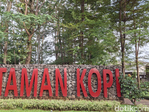 Kisah Taman Kopi di Pasar Rebo, Dulu Hutan Kopi, Kini Tersisa Satu Pohon