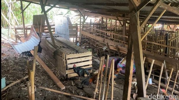 Suasana rumah warga terdampak tanah gerak di Kelurahan Jangli, Kecamatan Tembalang, Kota Semarang, Senin (9/2/2026).