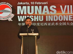 Airlangga Kembali Jadi Ketum PB Wushu Indonesia
