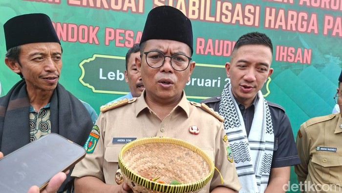 Andra Soni (Arief/detikcom)