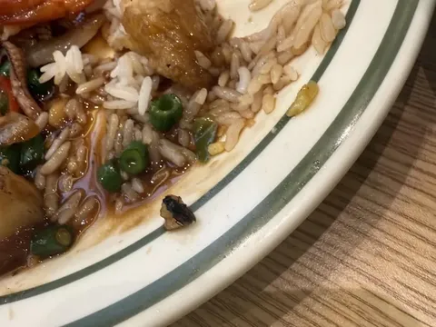 Apes! Lagi Makan di Restoran Thailand, Nemu Lalat dan Rambut di Hidangan Apes! Lagi Makan di Restoran Thailand, Nemu Lalat dan Rambut di Hidangan