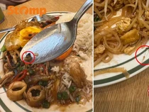 Apes! Lagi Makan di Restoran Thailand, Nemu Lalat dan Rambut di Hidangan