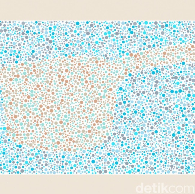 Tebak Siluet Gambar, Kalau Sulit Terlihat Coba Cek Penglihatan Warnamu