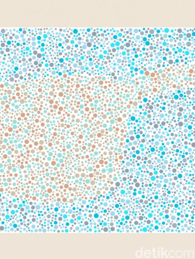 Tebak Siluet Gambar, Kalau Sulit Terlihat Coba Cek Penglihatan Warnamu